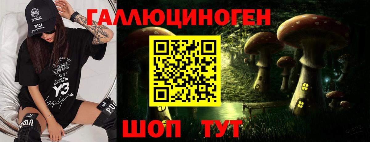Псилоцибиновые грибы прущие грибы  Вход с VPN  Ярцево 