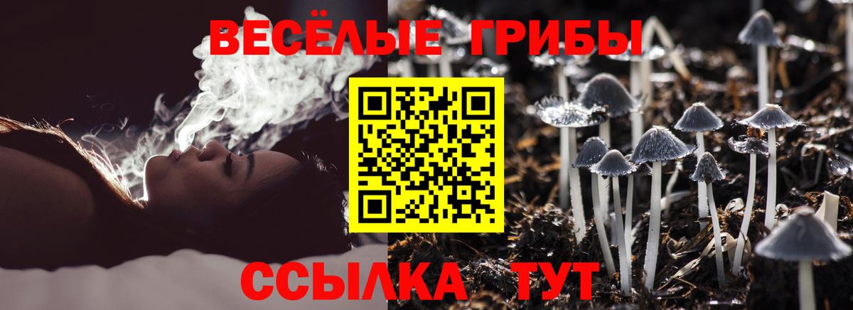 Галлюциногенные грибы ЛСД Ярцево